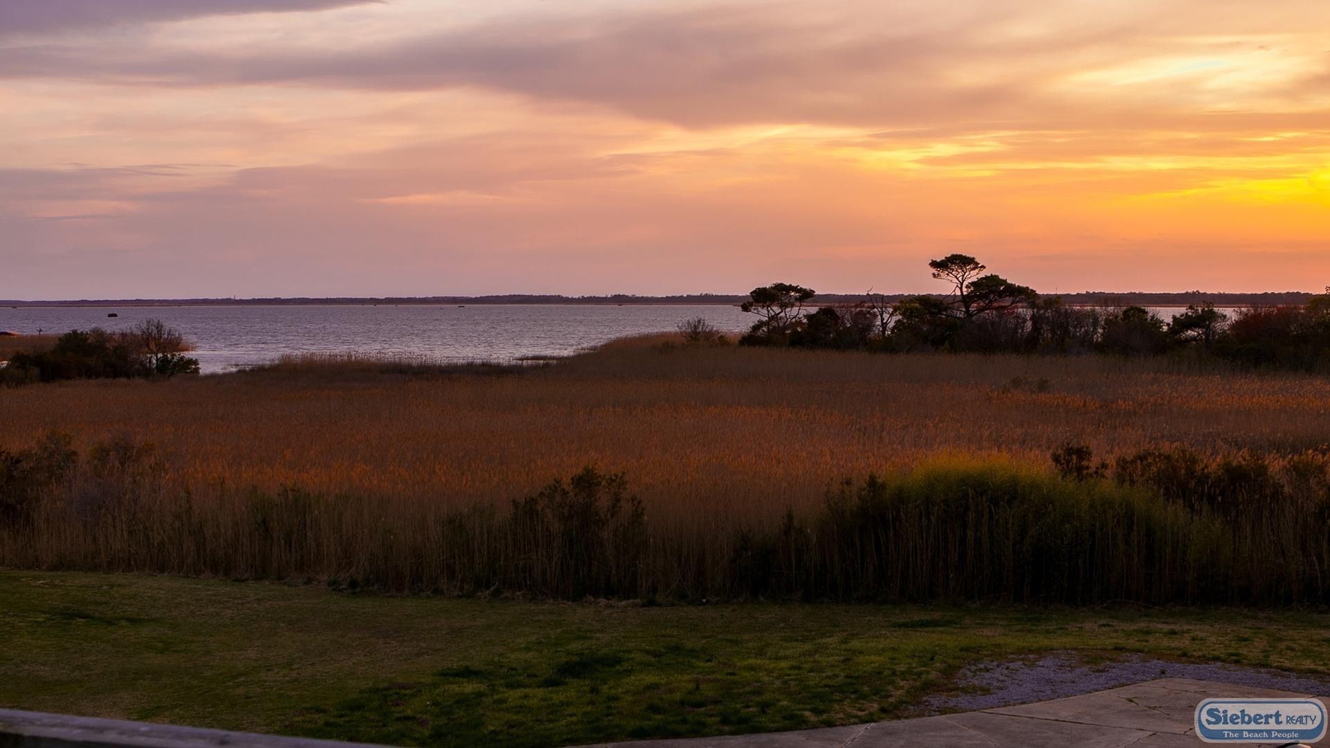 Tranquil sunset over a coastal marshland with tall grasses and distant trees by the water.